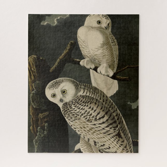 Puzzle Snowy Owl, John James Audubon's Birds of America (Vertical)