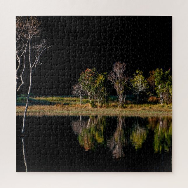 Puzzle soi bille symétrie paysage reflet (Vertical)