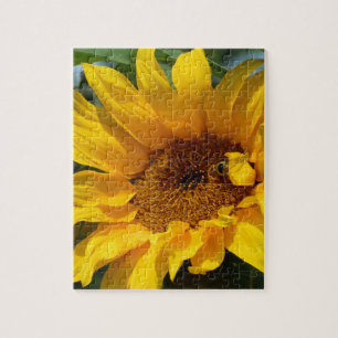 Puzzle Soleil de tournesol