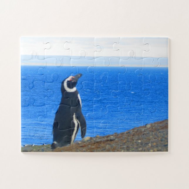 Puzzle solo de pingouin (Horizontal)