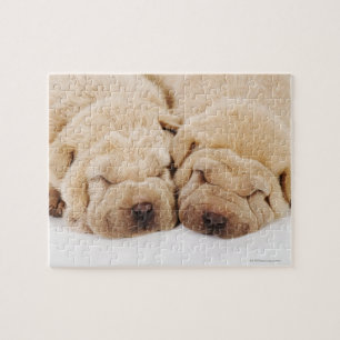 Puzzle Sommeil de deux chiots de Shar Pei