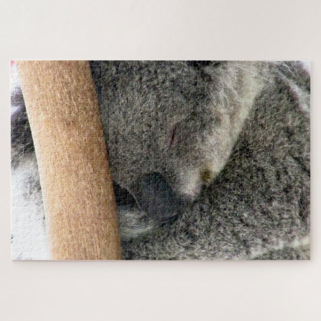 Puzzle sommeil koala (Horizontal)
