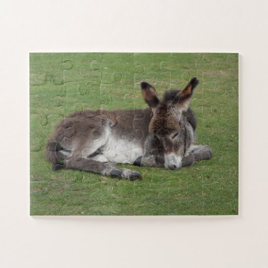 Puzzle Sommeil Mignon De Poulain D Ane De Bebe Zazzle Fr