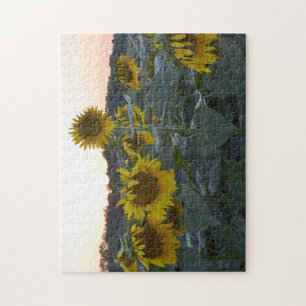 PUZZLE SOMNOLENT DE TOURNESOLS