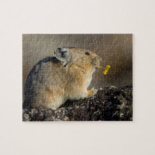 Puzzle Sonnant de la trompette le lever de soleil