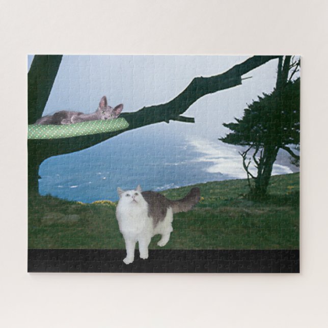 Puzzle - Sortie sur un membre (Horizontal)