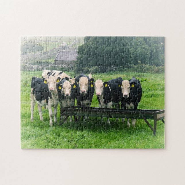 Puzzle Souriez s'il vous plaît ! Vaches mignonnes (Horizontal)