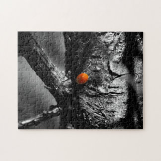 Puzzle sourire pour une coccinelle