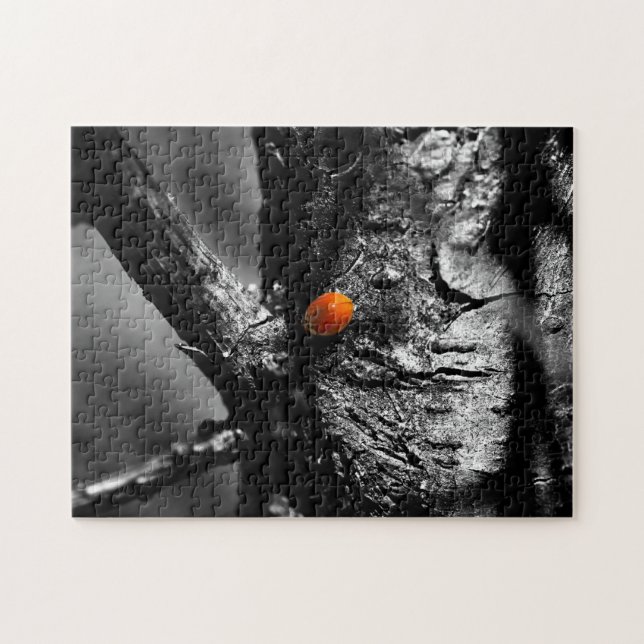 Puzzle sourire pour une coccinelle (Horizontal)