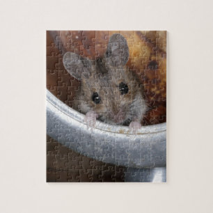 Puzzle Souris dans une théière