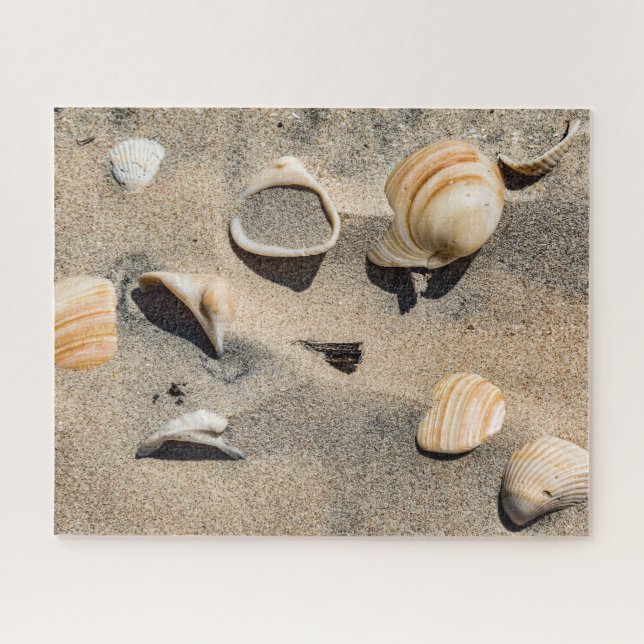 Puzzle South Padre Island, Shells and Sand (Horizontal)