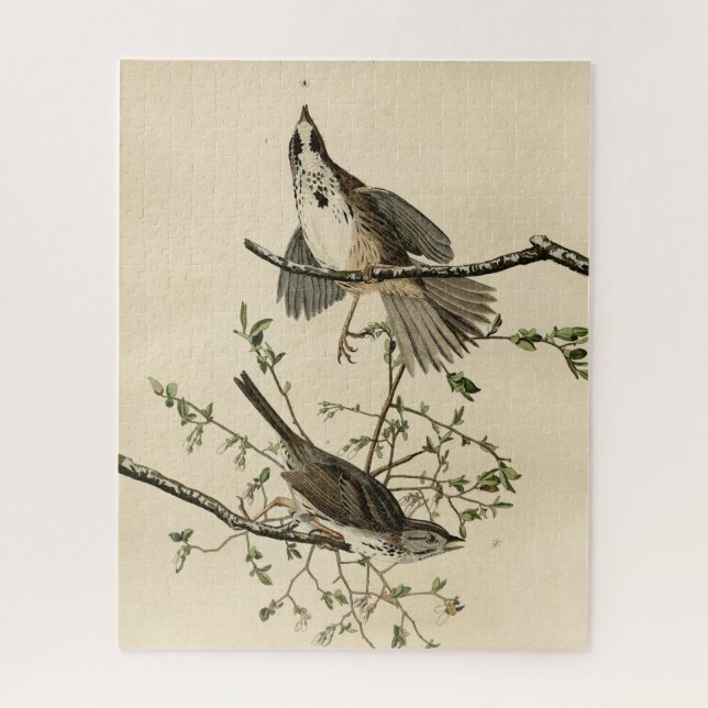 Puzzle Sparrow de Audubon's Birds of America (Vertical)