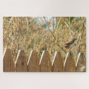 Puzzle Sparrow de chanson sur la clôture