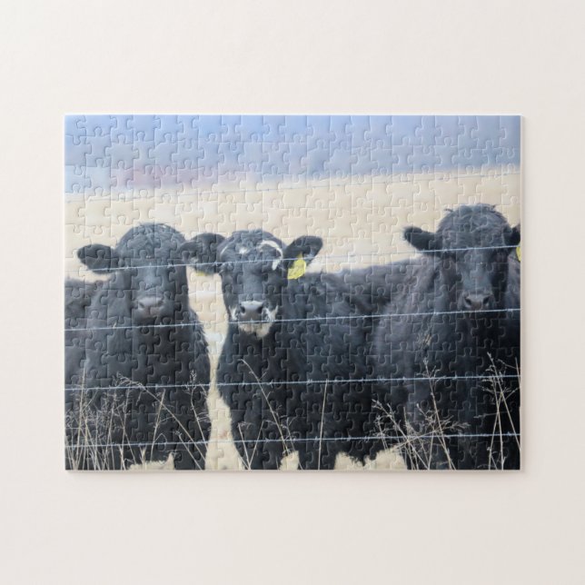 Puzzle Spectateurs bovins (Horizontal)