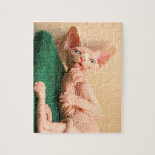 Puzzle Sphinx mignon