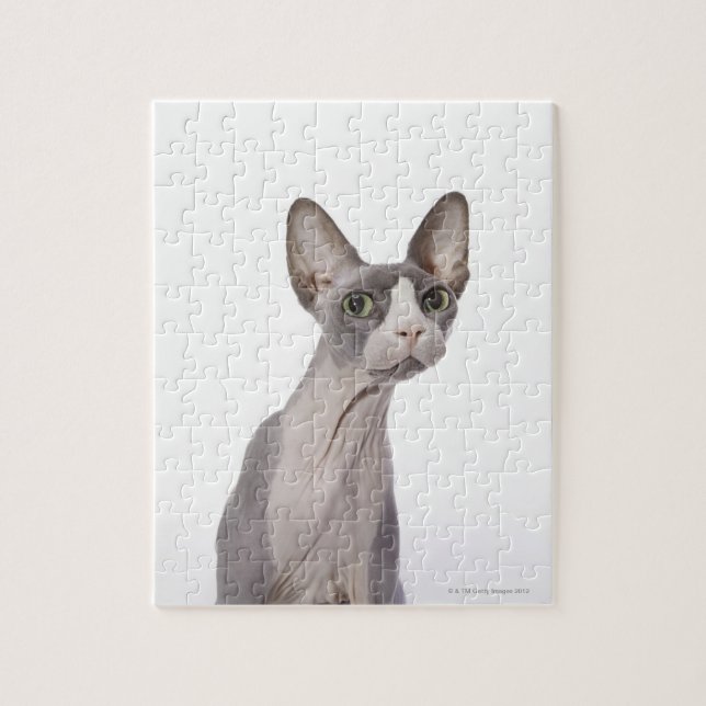 Puzzle Sphynx Cat with surprised expression (Vertical)