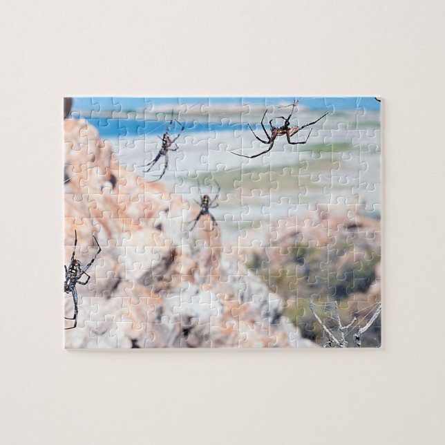 Puzzle Spider City - Ça traîne (Horizontal)