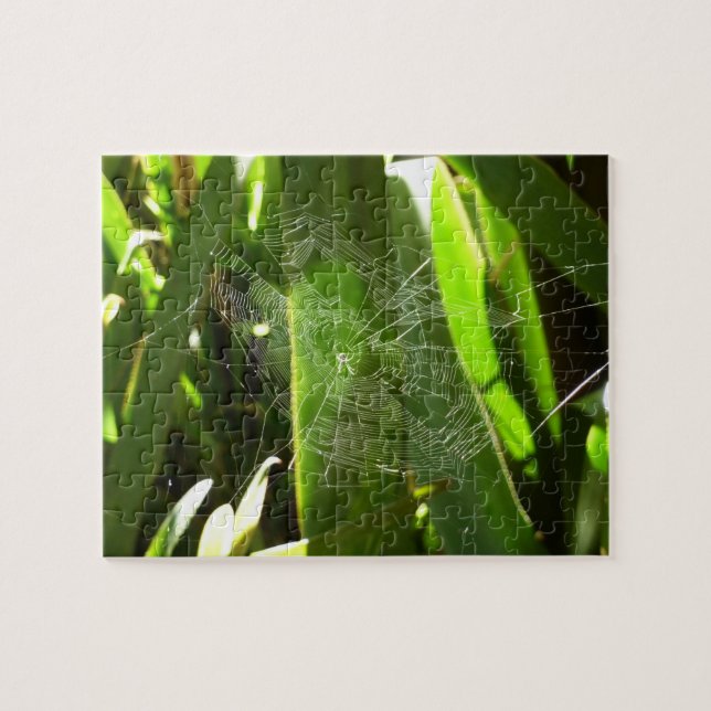 Puzzle Spiderweb dans Tropical Leaves Nature (Horizontal)