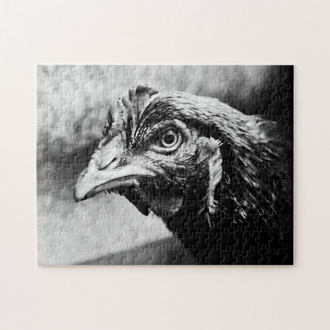 Puzzle spirits and chickens (Horizontal)