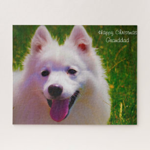 Puzzle Spitz japonais.