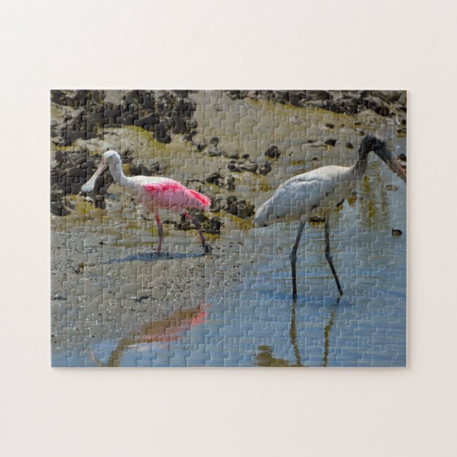 Puzzle Spoon Bill Wood Stork Floride (Horizontal)