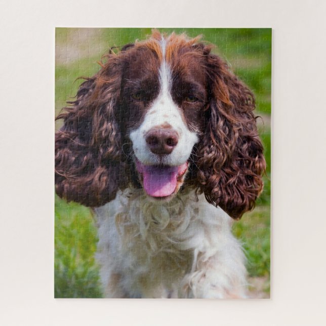 Puzzle Springer Spaniel Dog Jigsaws. (Vertical)