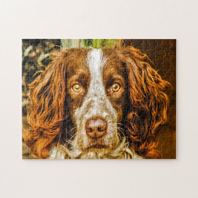 Puzzle Springer Spaniel Dog Jigsaws. (Horizontal)