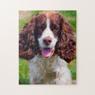 Puzzle Springer Spaniel Dog Jigsaws.
