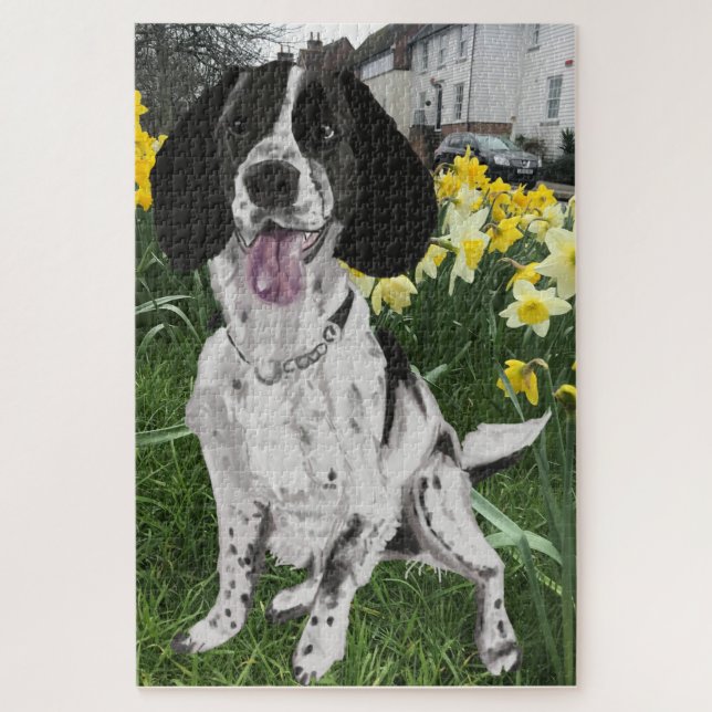 Puzzle Springer Spaniel noir et blanc parmi des jonquille (Vertical)