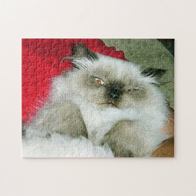 Puzzle Squinty Himmy (Horizontal)