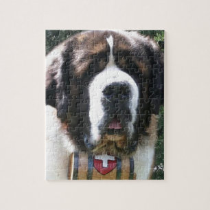 Puzzle St Bernard