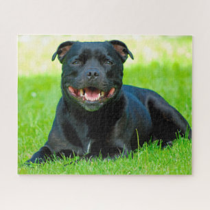 Puzzle Staffordshire Bull Terrier.