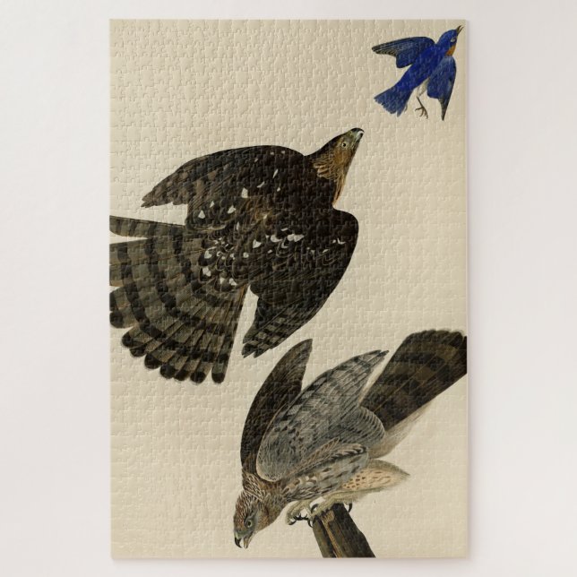 Puzzle Stanley (Cooper's) Hawk Audubon's Birds of America (Vertical)