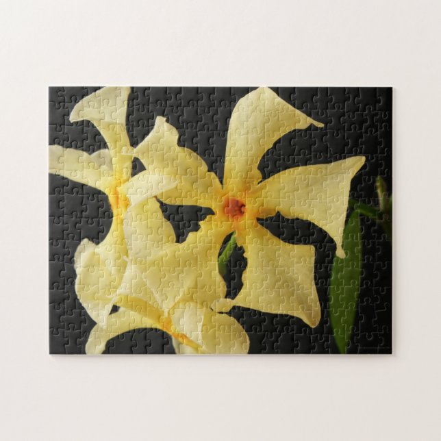 Puzzle Star Jasmine Flower 11x14 jpcna 252pc (Horizontal)