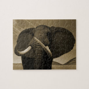Puzzle Statue majestueuse