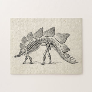 Puzzle Stegosaurus Dinosaure Squelette Fossile
