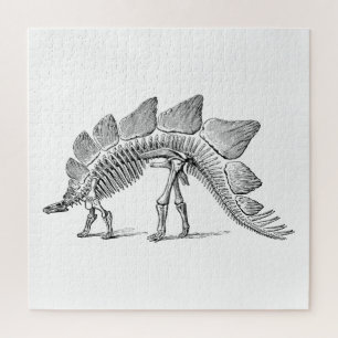 Puzzle Stegosaurus Dinosaure Squelette Fossile
