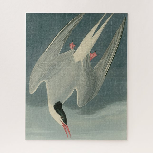 Puzzle Sterne arctique des oiseaux d'Amérique d'Audubon (Vertical)