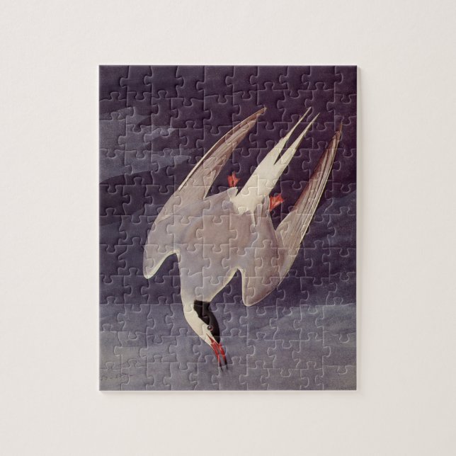 Puzzle Sterne arctique par John James Audubon, Oiseaux vi (Vertical)