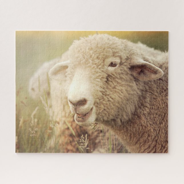 Puzzle Stewie Jigsaw (Horizontal)