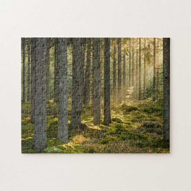 Puzzle Stunning Scenes 11" x 14" (Horizontal)