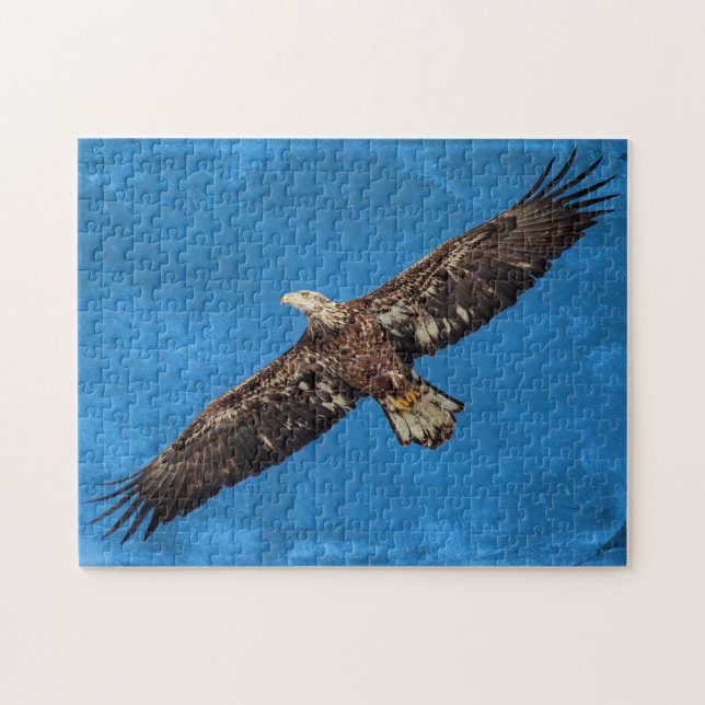 Puzzle Subadult Eagle chauve en vol (Horizontal)