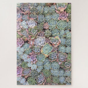 Puzzle succulent en pastel de jardin