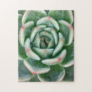 Puzzle Succulent incliné par rouge vert