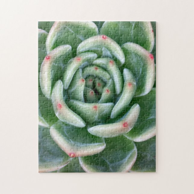 Puzzle Succulent incliné par rouge vert (Vertical)