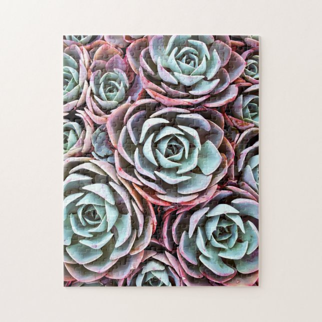 Puzzle Succulent rose du désert photo couleur 11 x 14 (Vertical)