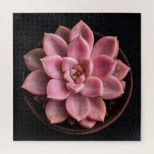Puzzle Succulente