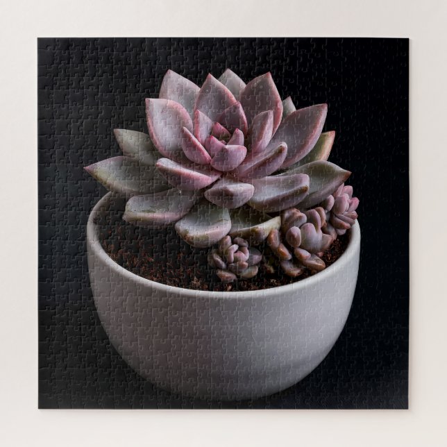 Puzzle Succulente  (Vertical)