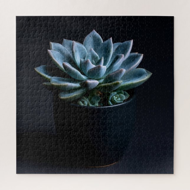 Puzzle Succulente  (Vertical)