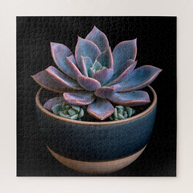 Puzzle Succulente  (Vertical)